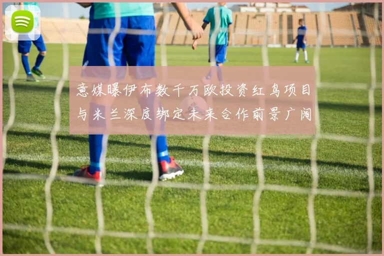 意媒曝伊布数千万欧投资红鸟项目与米兰深度绑定未来合作前景广阔